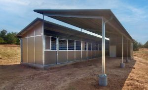 Shedrow Barns | Horse Housing, Equine Facilities | FCPBarns.com