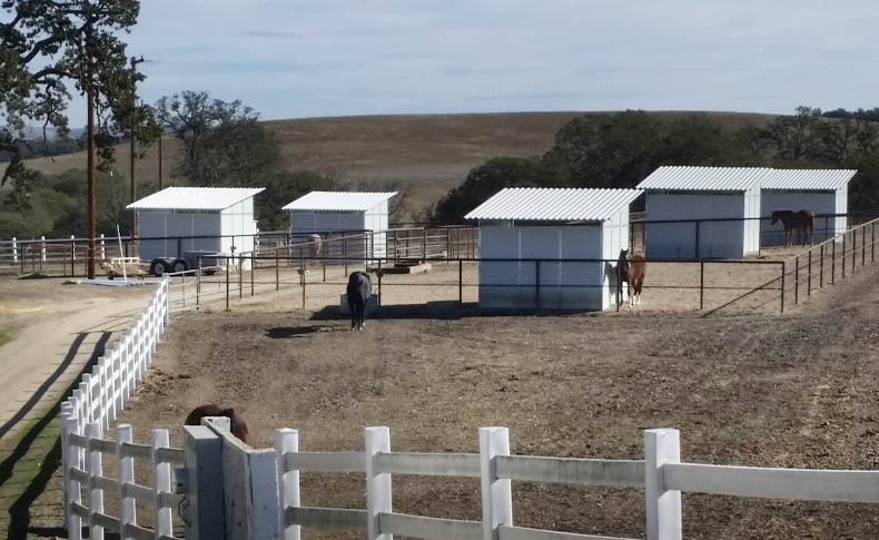 FCP Loafing Sheds