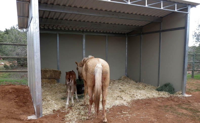 FCP Loafing Sheds