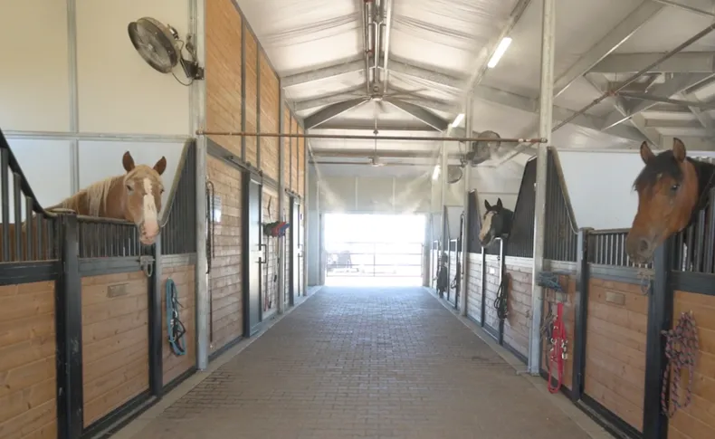 Best barn ventilation tips for healthy horses