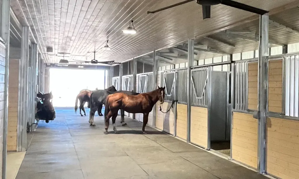 FCP Wood Sided Steel Barns Project Image Stalls