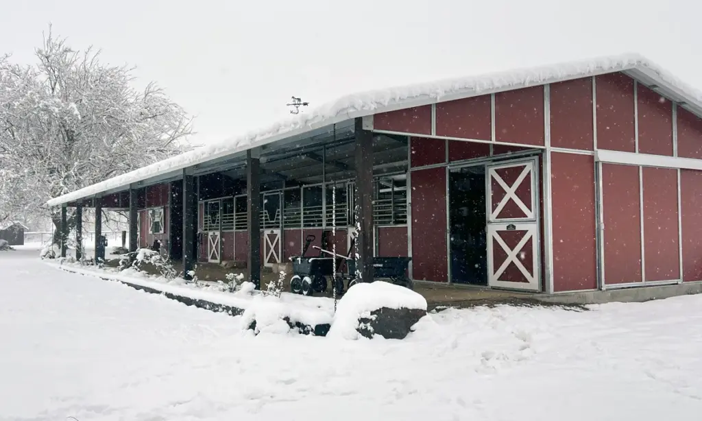 FCP Metal Barns for Horses - Article Project Image a custom Shedrow barn