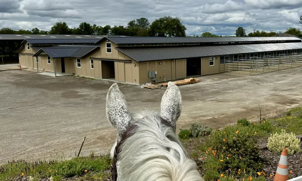 FCP Metal Barns for Horses - Article Project Image a custom RCA barn