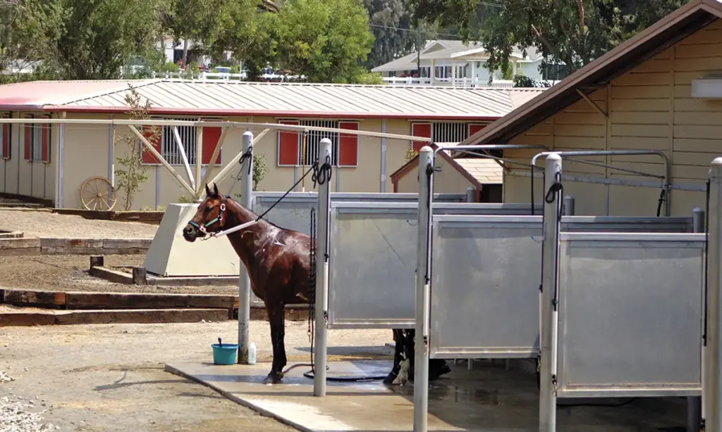 FCP Metal Barns for Horses - Article Project Image Wash Bay Detail